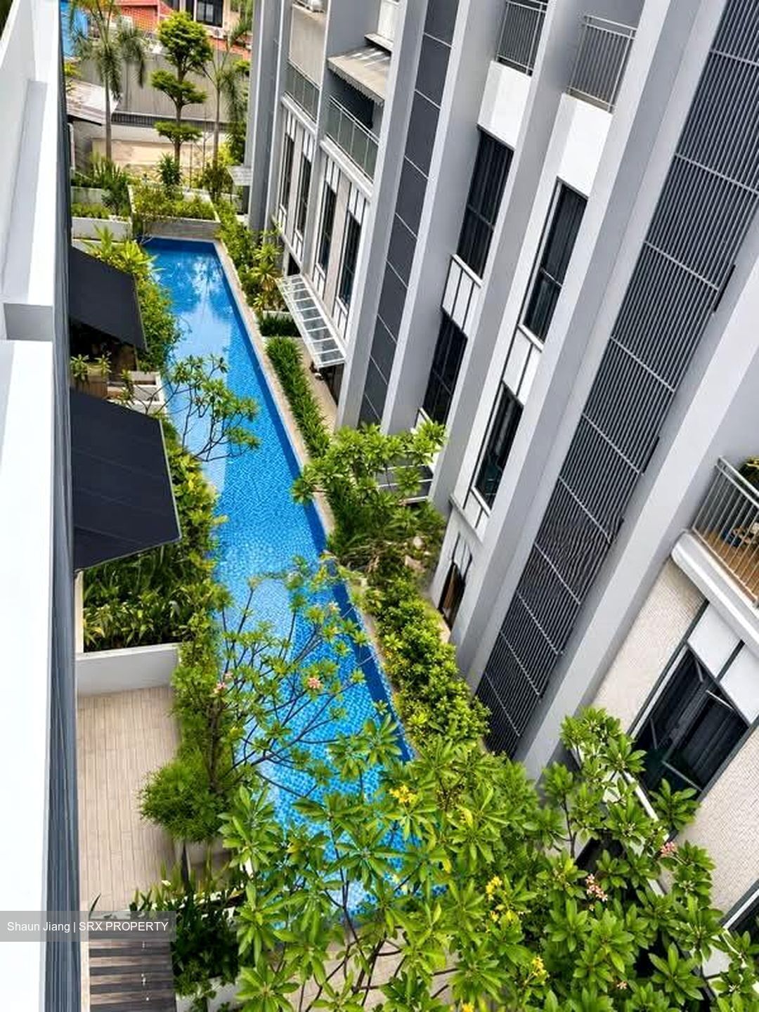 Lotus Ville (D15), Terrace #554595141